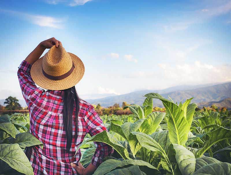 Colombia Agraria Colombia Justa Libres